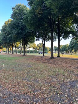 IMG_4053.jpeg