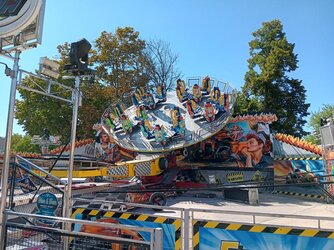 20260812_152553.JPG
