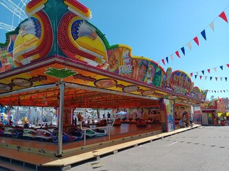 20260812_152903.JPG