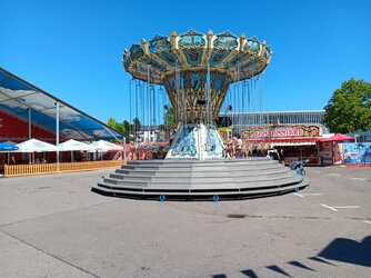 20260812_152908.JPG