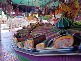 20260812_153659.JPG