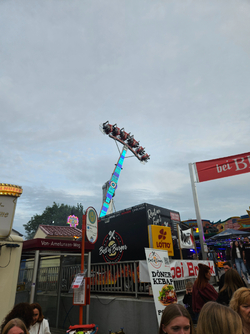 20260919_185330.jpg