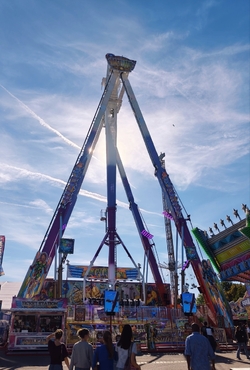 1000011987.jpg