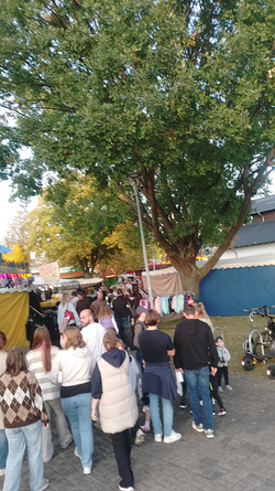 IMG-20261003-WA0053.jpg