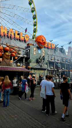 20260926_150900.jpg