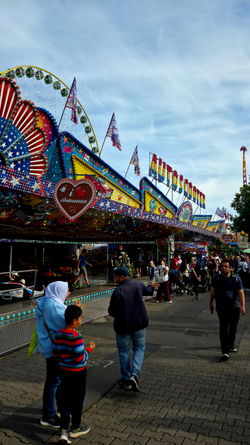 20260926_151210.jpg
