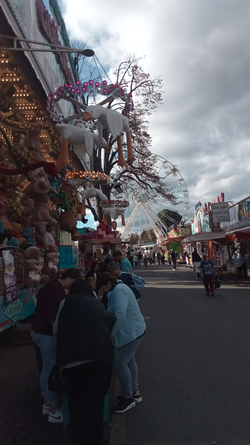 IMG-20261006-WA0045.jpeg