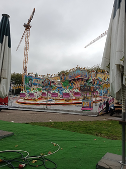 IMG_20261009_172433.jpg