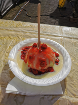 IMG_20261010_115358.jpg