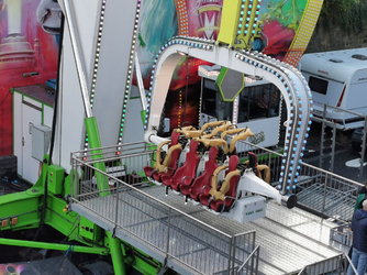 IMG_20261010_121251.jpg