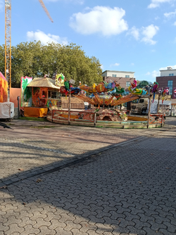 IMG_20261012_143539.jpg