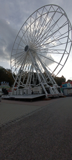 IMG_20261014_165718.jpg