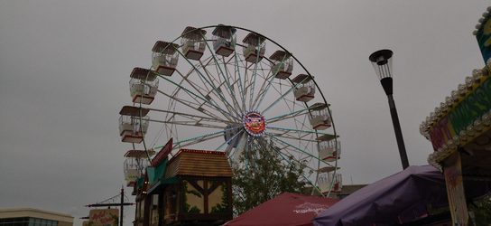 IMG_20261018_124027.jpg