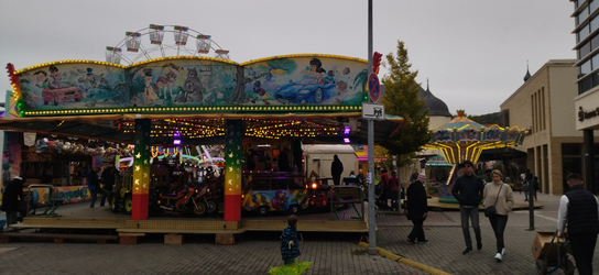 IMG_20261018_130152.jpg