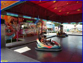 Wagenfeld 2011 (6).webp