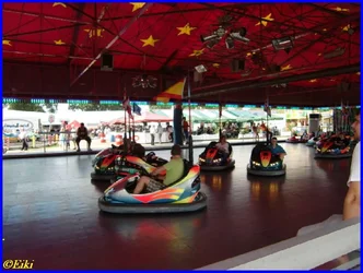 Wagenfeld 2011 (7).webp