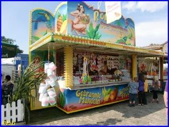 Wagenfeld 2011 (18).webp