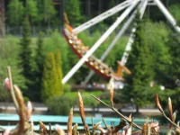 ai661.photobucket.com_albums_uu337_Dominik451981_IMG_1921.webp