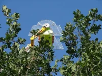 ai275.photobucket.com_albums_jj289_ThunderNrw_Turbo_20Force_tf7.webp