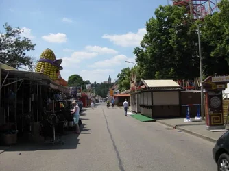ai661.photobucket.com_albums_uu337_Dominik451981_2010_IMG_0189.webp