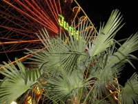 ai661.photobucket.com_albums_uu337_Dominik451981_IMG_1038.jpg ai661.photobucket.com_albums_uu337_Dominik451981_IMG_1038.jpg