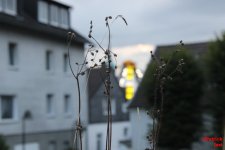 Bild_copyright_03.jpg Bild_copyright_03.jpg