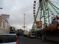 SDC15842.webp