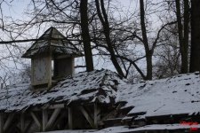 Bild_copyright_16.jpg