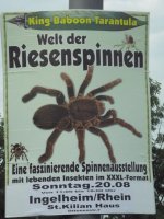 DSCF1439.JPG