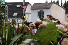 Bild_copyright_16.jpg