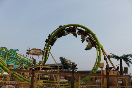 k-Cobra Coaster (18).JPG