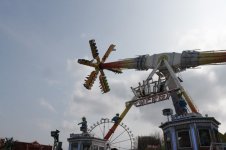 k-Schmetterlinge 082.JPG