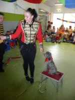 Zirkus - Circus RONELLI zum Karneval im Kindergarten Betzdorf