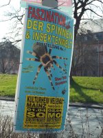DSCF7614.JPG