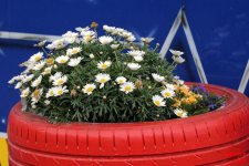 Bild_copyright_57.jpg
