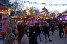 DSC03950.JPG