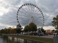 IMG_20191005_170252.jpg