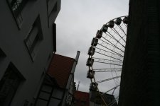 IMG_7341.JPG