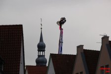 Bild_copyright_28.jpg