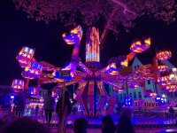 7D17E880-669B-43E8-9109-95B92107136F.jpeg