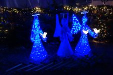 DSC09322.JPG