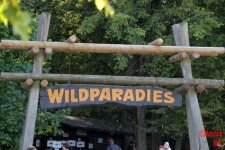 Wild (3).JPG
