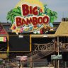 big bamboo