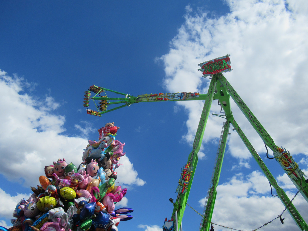 IMG-3223.jpg